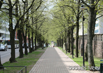 Город Котка Туры в Котку, (Kotka) однодневная поездка